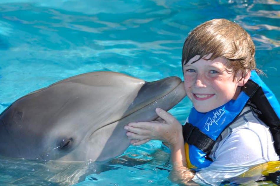 Dolphin Encounter in Isla Mujeres - Photo 3
