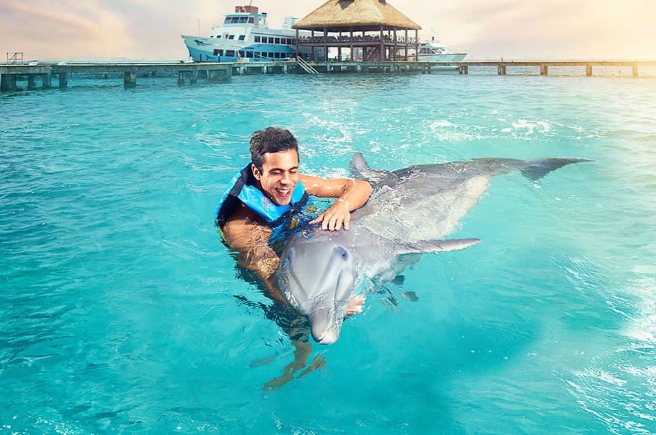 Dolphin Encounter in Isla Mujeres - Photo 2