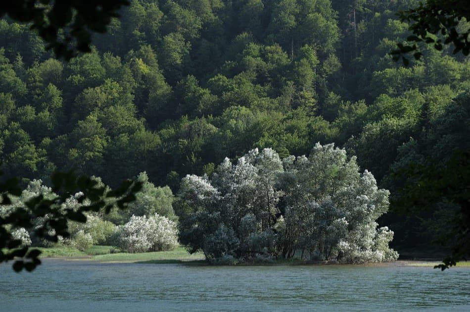 4 Day Mini Montenegro Tour - Photo 31