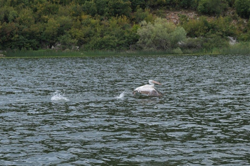 7 Day Best of Montenegro Tour - Photo 41
