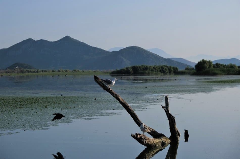 Beauties of Montenegro 5 Day Tour - Photo 23