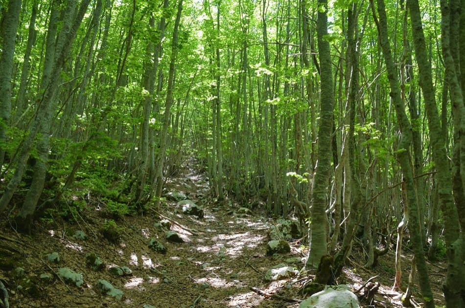 Explore the Montenegro Mountains on a 9 Day Tour - Photo 10