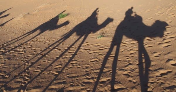 2 Days Desert Tour From Fez With Camel Ride and Overnight in Desert Camp - Photo 1