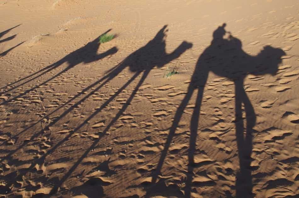 2 Days Desert Tour From Fez With Camel Ride and Overnight in Desert Camp - Photo 6