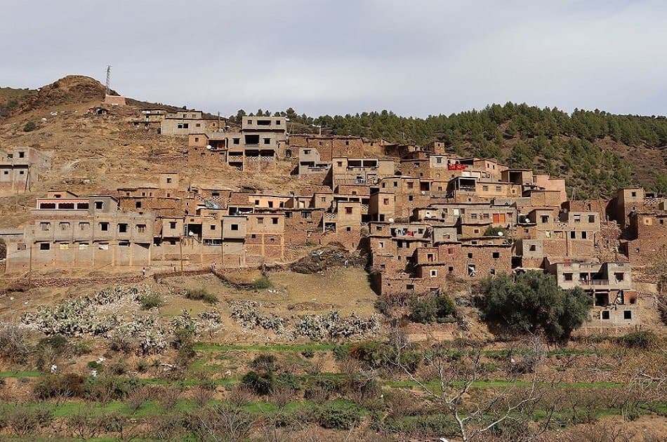 Atlas Mountains and Desert Agafay Private Day Trip - Photo 3