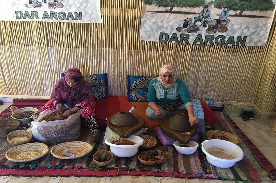 Atlas Mountains and Desert Agafay Private Day Trip - Photo 13