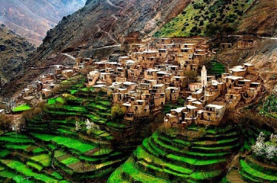 Atlas Mountains and Desert Agafay Private Day Trip - Photo 14