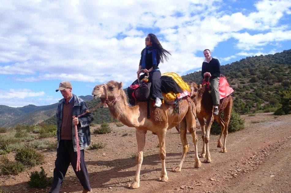 Day Trip to Atlas Mountains & 3 Valleys from Marrakech with Lunch & Camel Ride - Photo 8