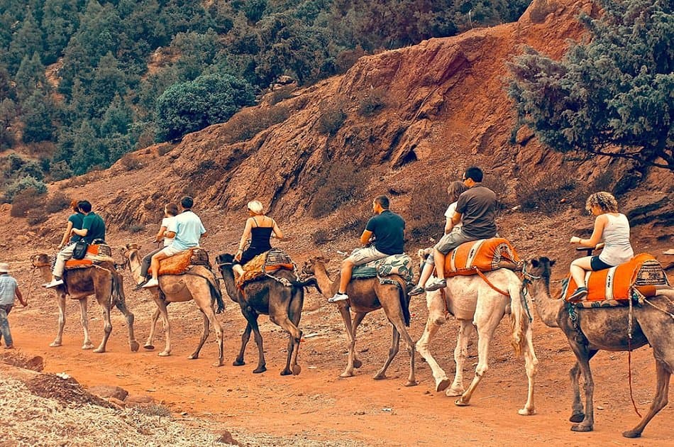 Day Trip To Atlas Mountains With Camel ride - Photo 9