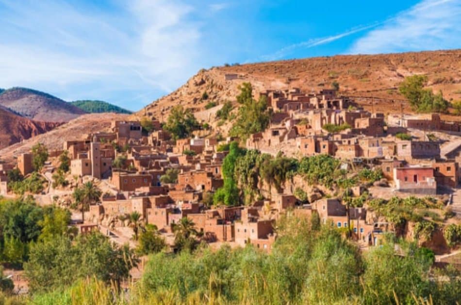 Day Trip To Atlas Mountains With Camel ride - Photo 8