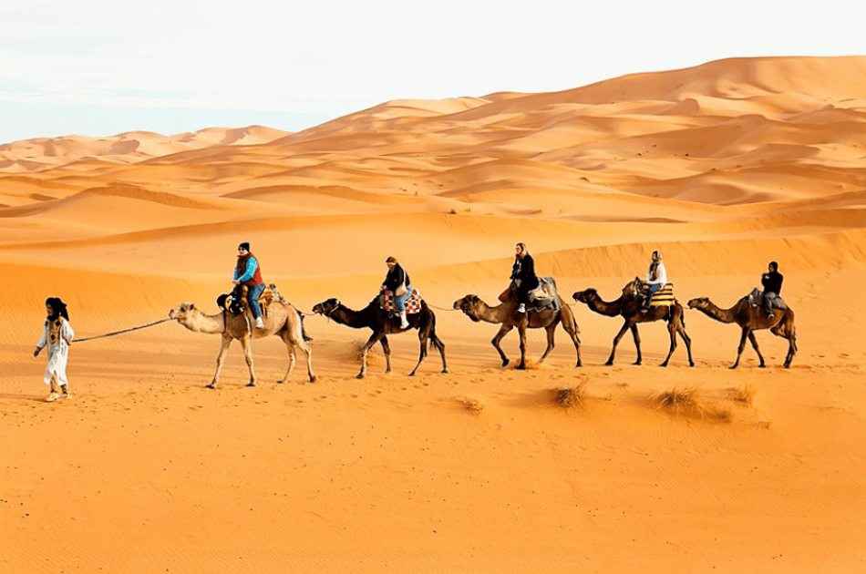 Explore the Sahara Desert 3 Days Tour From Marrakech - Photo 3