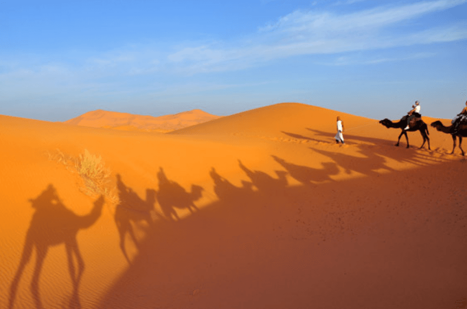 Explore the Sahara Desert 3 Days Tour From Marrakech - Photo 6