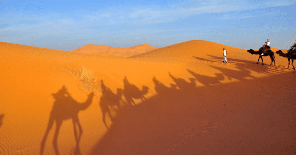 Explore the Sahara Desert 3 Days Tour From Marrakech - Photo 1
