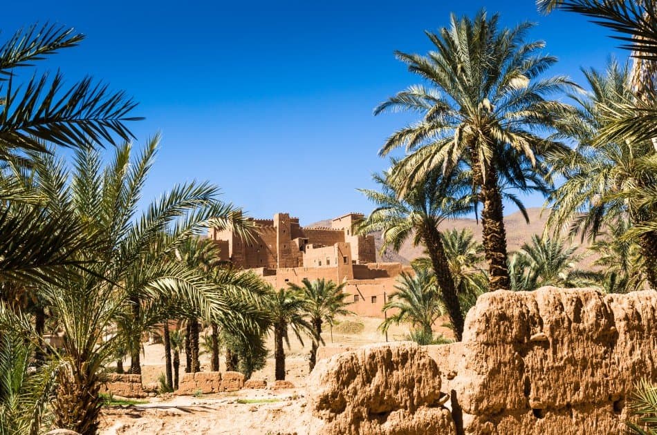 Marrakech 3 Days 2 Nights Desert Group Tour in Morocco - Photo 5