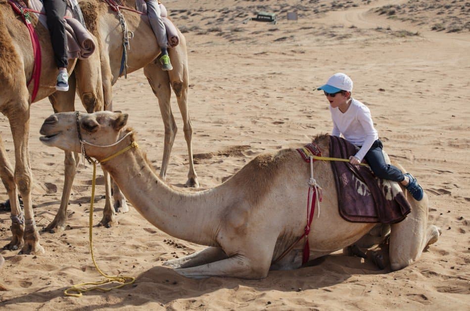 Marrakech 3 Days 2 Nights Desert Group Tour in Morocco - Photo 6