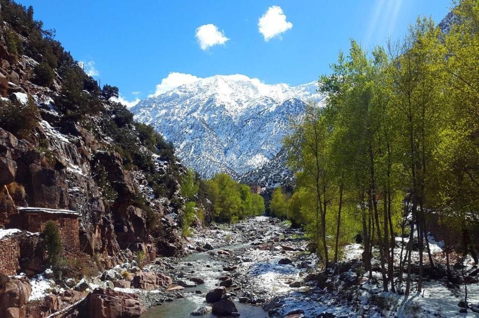 Private Day Trip from Marrakech to Ourika Valley With Lunch - Photo 3