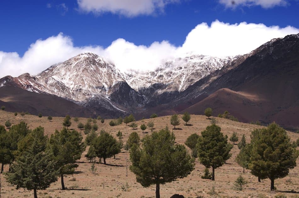 Sahara, Camels and Atlas Mountains private Tour from Marrakech in 3 Days - Photo 4