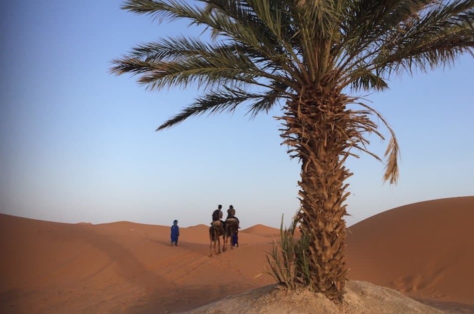 Sahara, Camels and Atlas Mountains private Tour from Marrakech in 3 Days - Photo 2