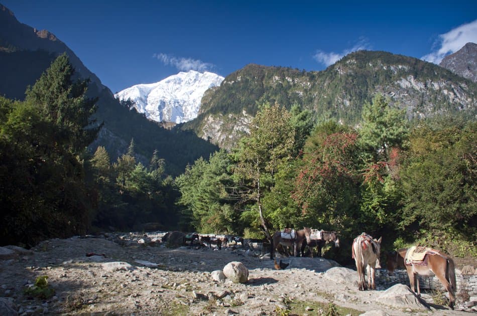 18 Day - Annapurna Circuit Trek - Photo 7