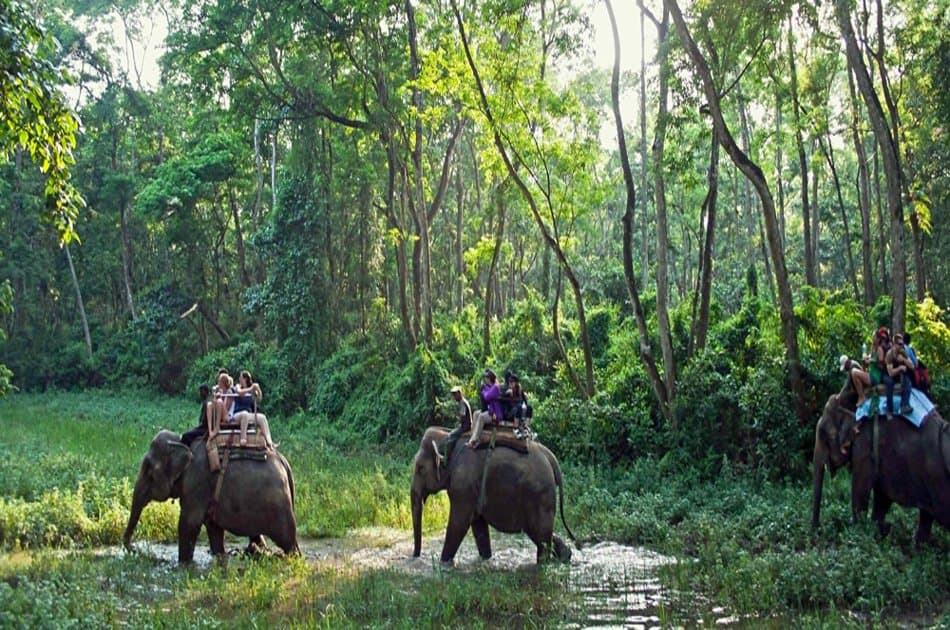 2 Nights 3 Days Chitwan National Park Safari Tour - Photo 2