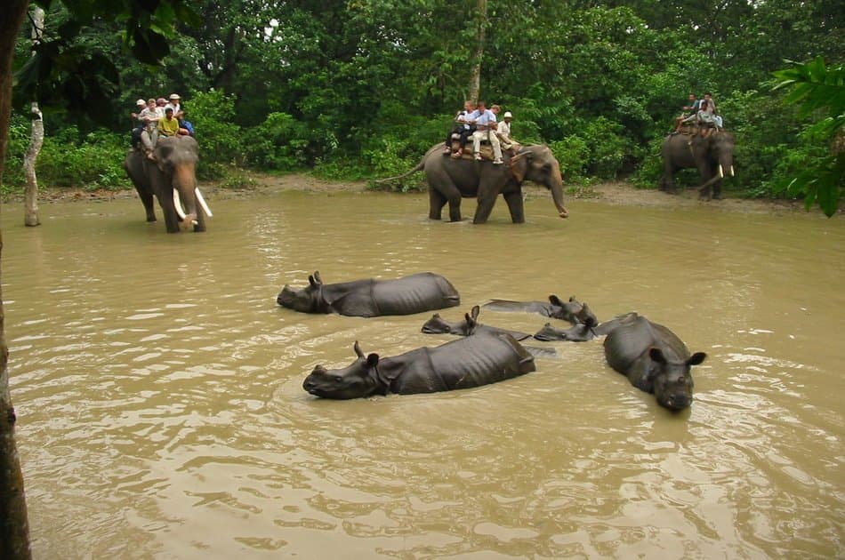 2 Nights 3 Days Chitwan National Park Safari Tour - Photo 6