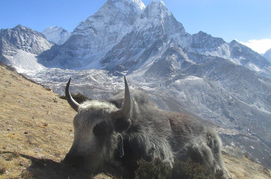 Everest Base Camp Trekking for 14 Eventful Days - Photo 14