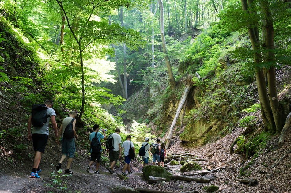 Full Day Hiking trip to Nagarjung Hill - Photo 7
