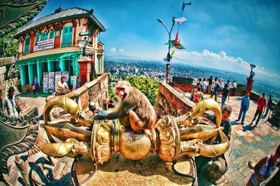 Half day Kathmandu City and Swayammbhunath Private Tour - Photo 3