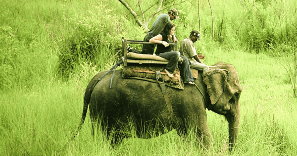 Nepal 7 day Adventure and Sightseeing Tour - Photo 1