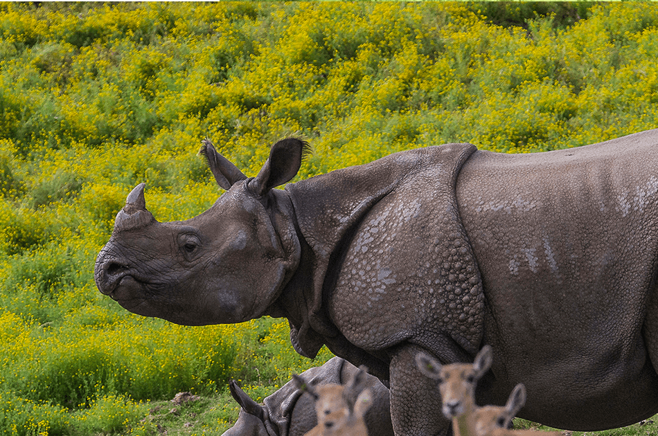 Nepal 7 day Adventure and Sightseeing Tour - Photo 6