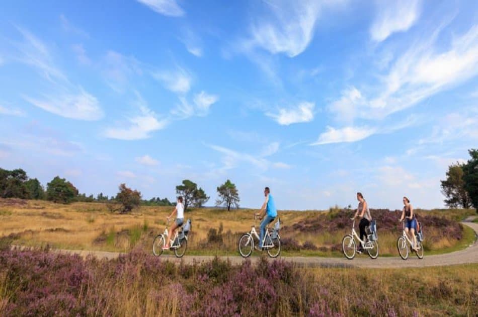 Sustainable & Eco-friendly tour - Nijmegen - Photo 3