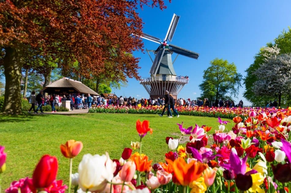 Visit Beautiful North Holland - Volendam, Edam and windmills - Photo 6