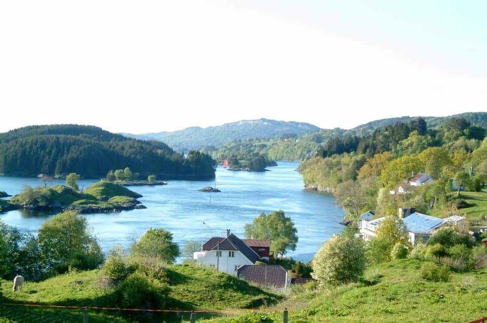 3 in 1 - City Sightseeing, Mount Fløien Funicular and Alverstraumen Fjord Cruise - Photo 8
