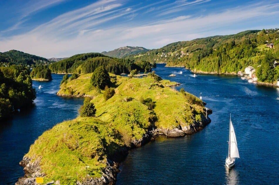 Bergen Fjord Cruise to Alversund Streams - Photo 8