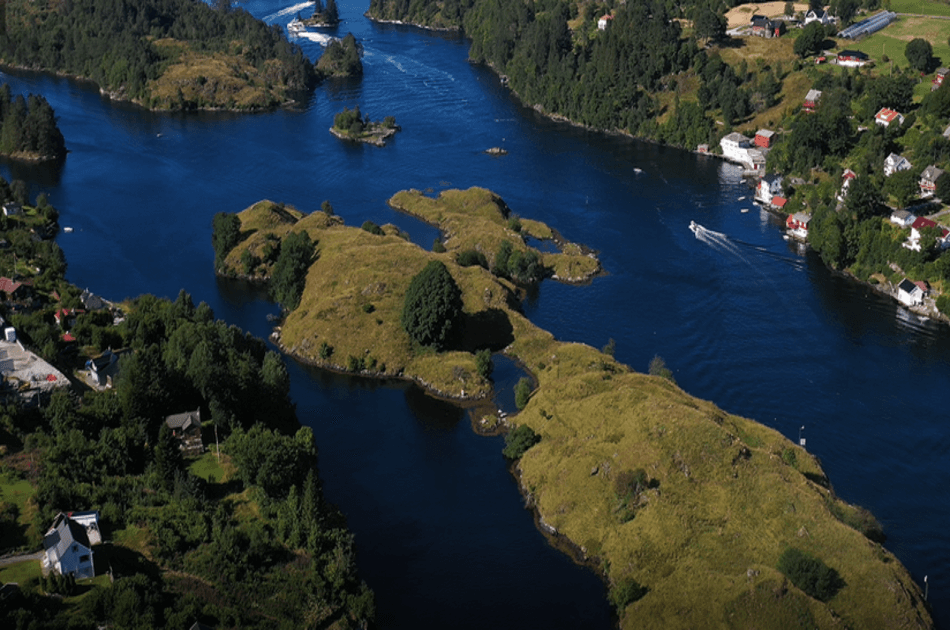 Bergen Fjord Cruise to Alversund Streams - Photo 9