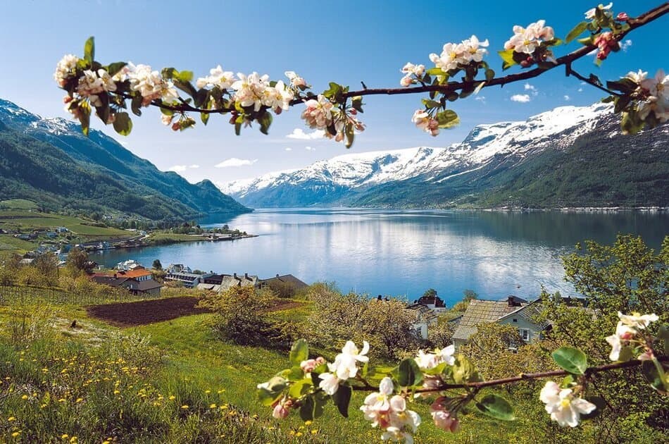 Private day tour to Eidfjord - Hardanger Fjord Cruise and Vøringsfoss waterfall - Photo 11