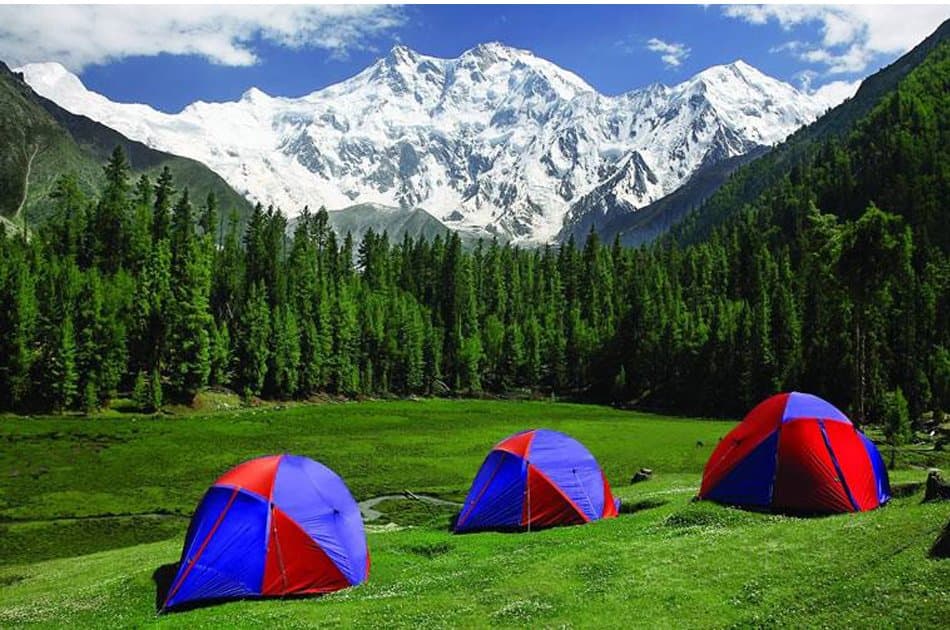 07 Days Trek Fairy Meadows Nanga Parbat Base Camp Pakistan - Photo 5