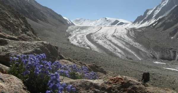 16 Days Battura Glacier Trek Passu Gojal Hunza Pakistan Asia - Photo 1