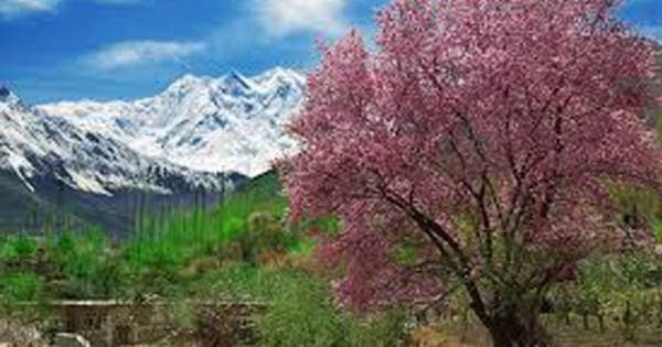 4 Days Hunza Karimabad Gojal Valley & Khunjerab Pass Gilgit Baltistan Pakistan - Photo 1
