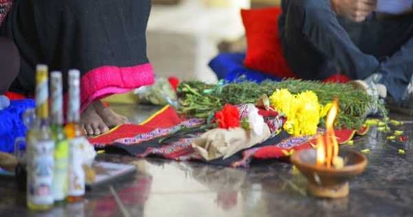 3 Day Amazonian Plant Teacher Retreat - Photo 1