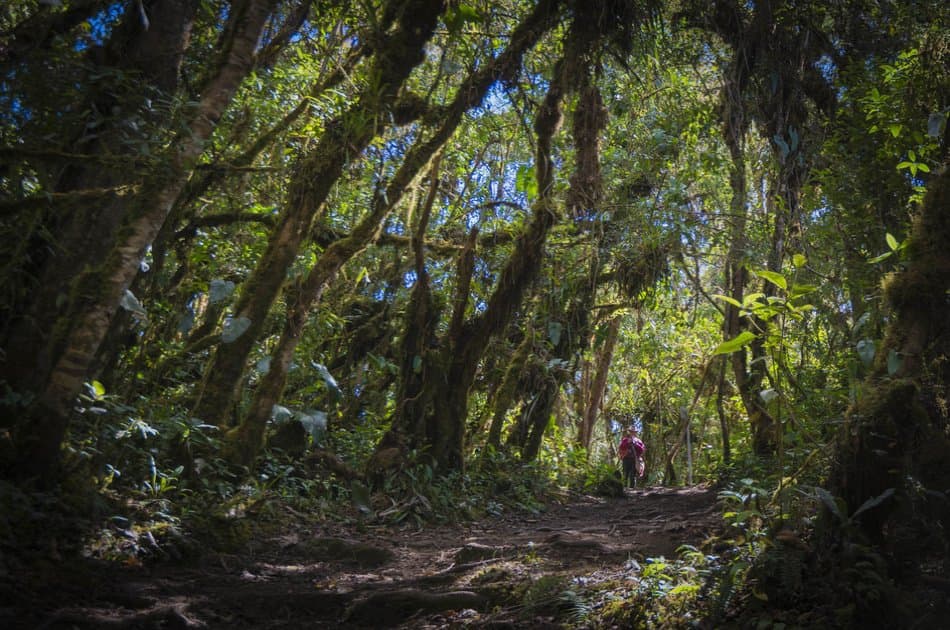 5 Day Salkantay to Machu Picchu Trek - Photo 11