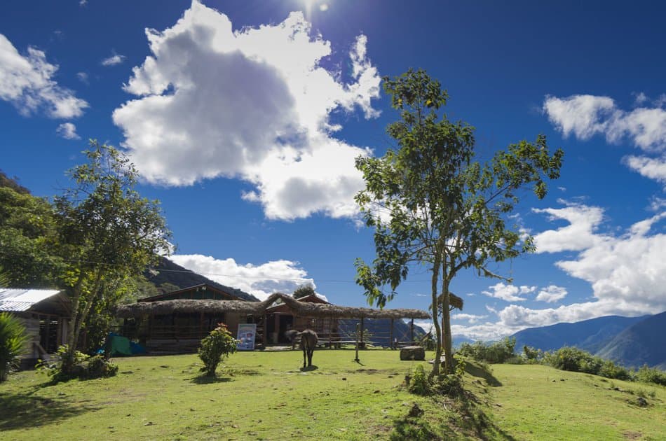 5 Day Salkantay to Machu Picchu Trek - Photo 14