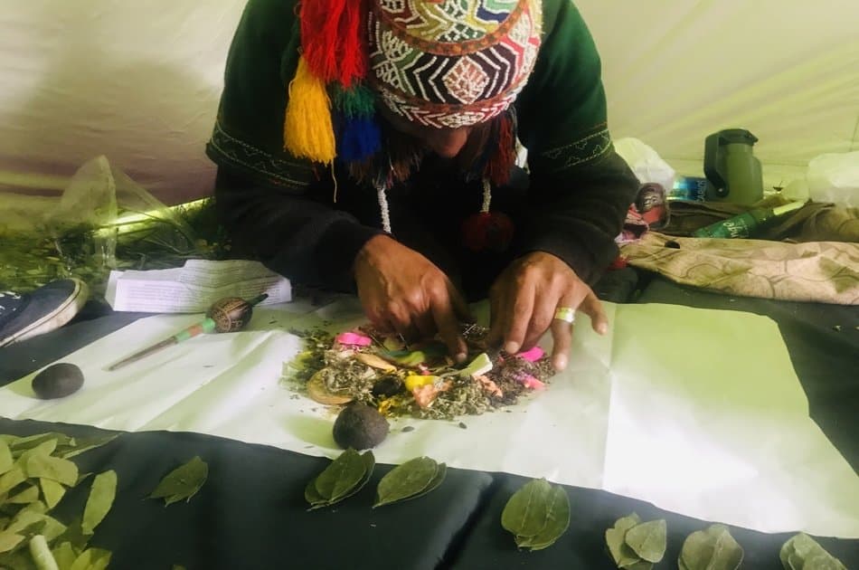 Full Day Andean Plant Teacher Tour - Photo 8