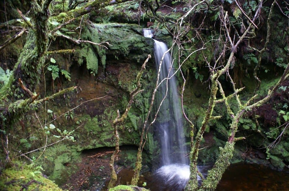 1/2 Day Tour of the Best Terceira Island Has to Offer in the Azores - Photo 6