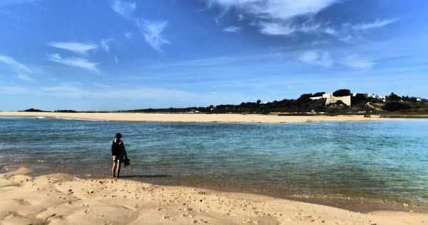 3 Hour Ria Formosa Sailing Trip From Faro - Photo 1
