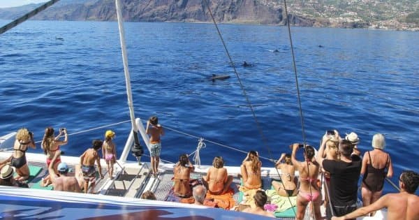 Amazing Land & Sea Pack Tour - Open Roof 4x4 + Dolphin - Photo 1