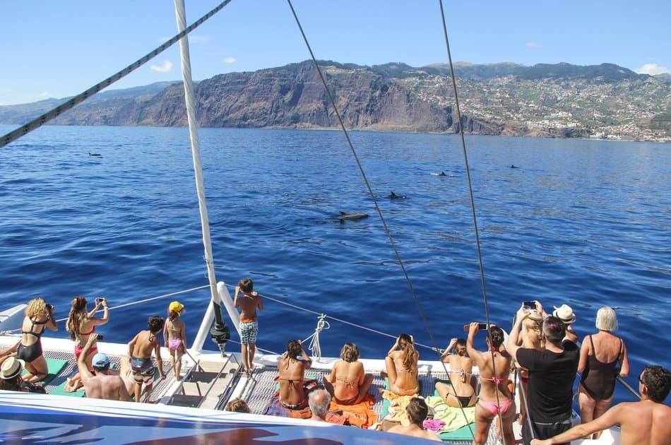 Amazing Land & Sea Pack Tour - Open Roof 4x4 + Dolphin - Photo 6