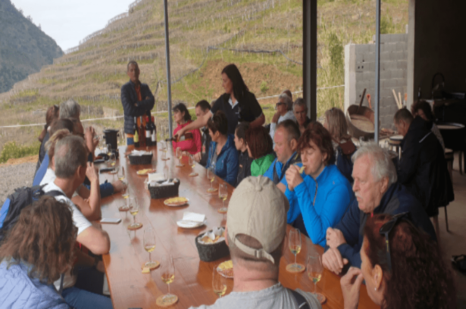 Cabo Girão Skywalk, Wine & Sea Dolphins Watching - Photo 3