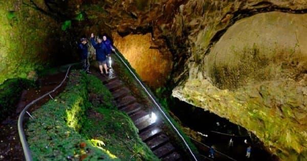 Caves Tour (Algar Do Carvão, Gruta Do Natal, Furnas Do Enxofre) from Azores - Photo 1