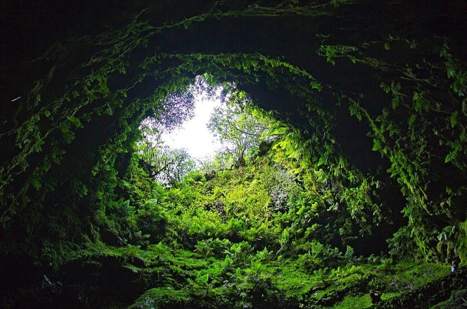 Caves Tour (Algar Do Carvão, Gruta Do Natal, Furnas Do Enxofre) from Azores - Photo 2